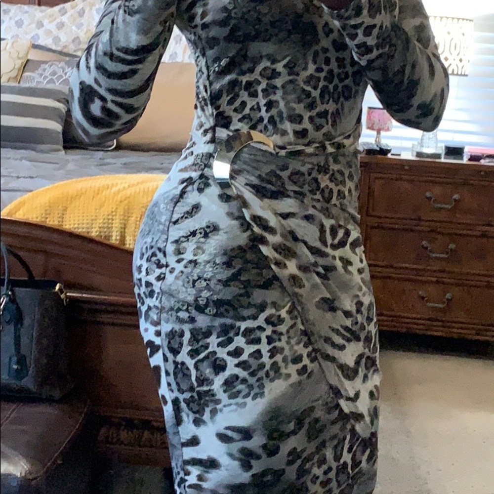 Cache Dress - Picture 2 of 8